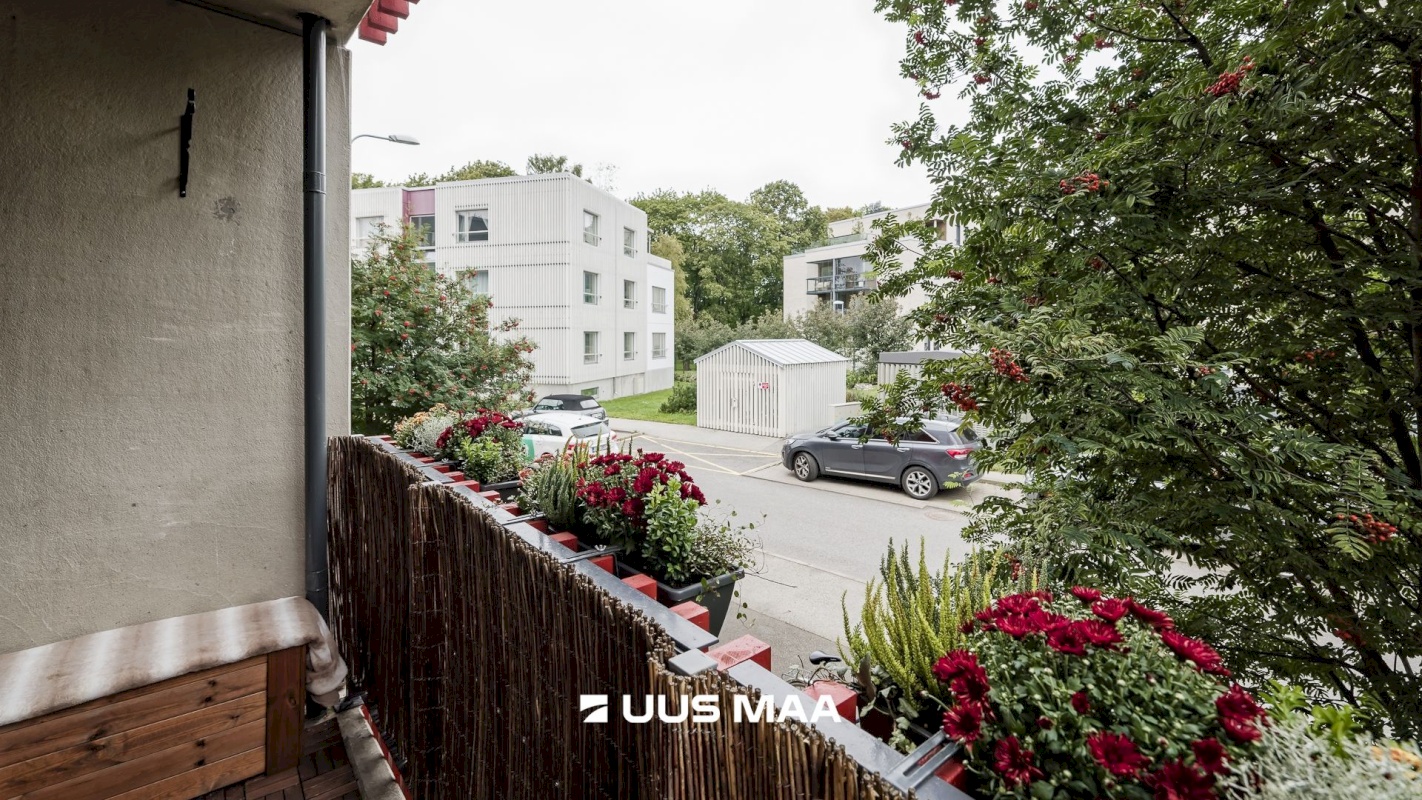 Tallinn, Põhja-Tallinna linnaosa, Vibu tn 3