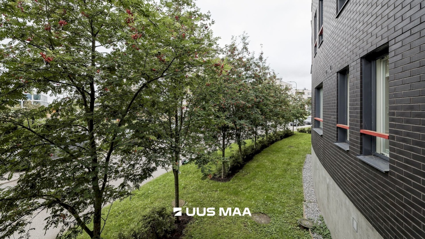 Tallinn, Põhja-Tallinna linnaosa, Vibu tn 3