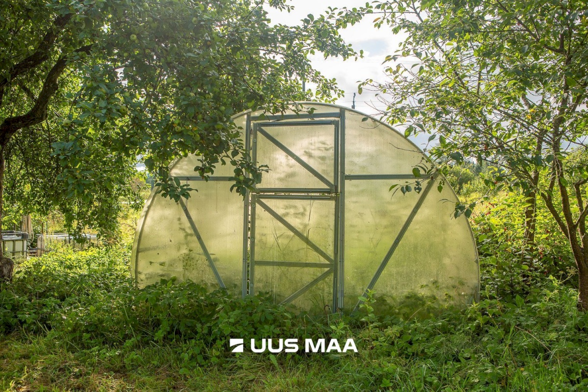 Kastre vald, Päkste küla, Männi 14