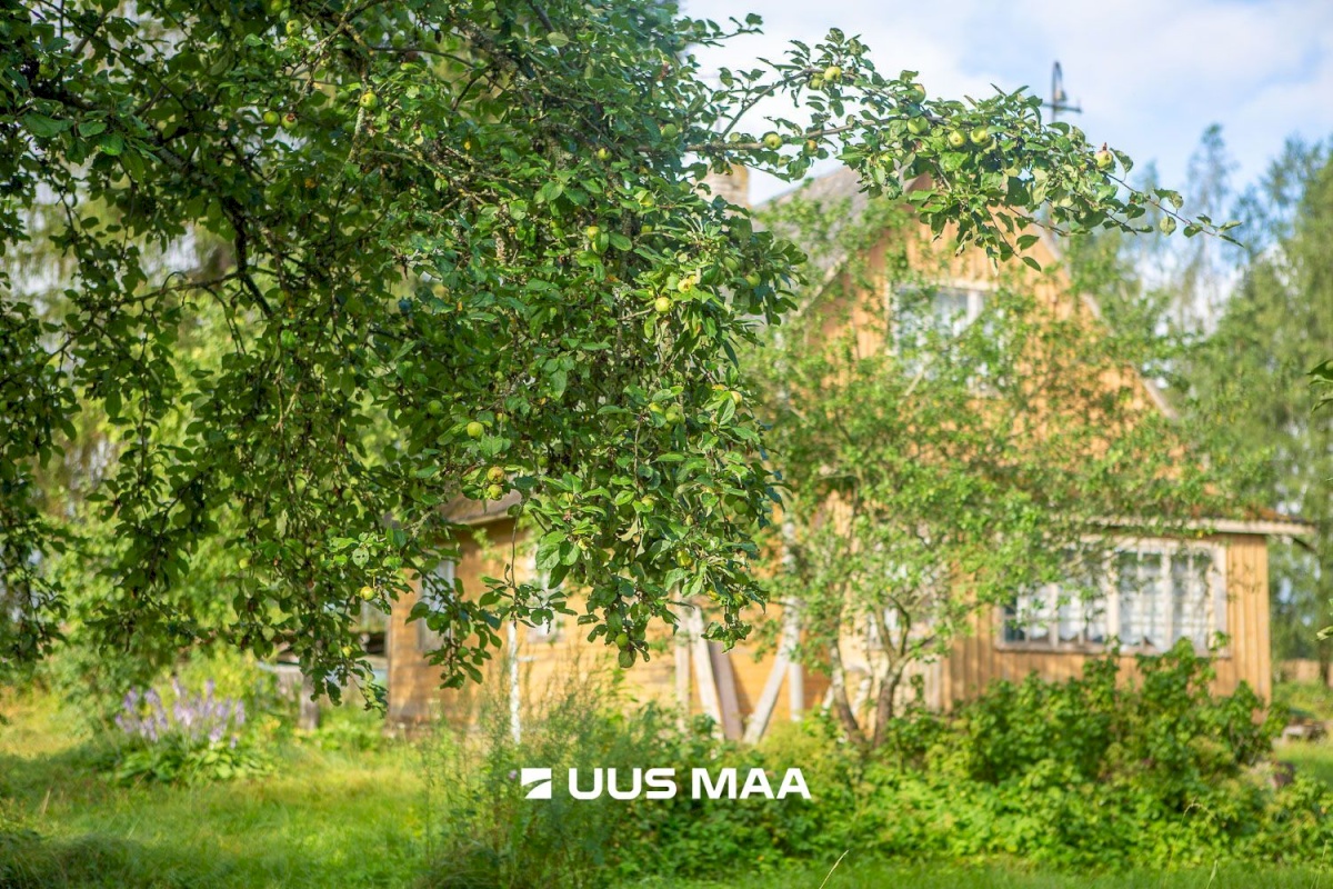 Kastre vald, Päkste küla, Männi 14