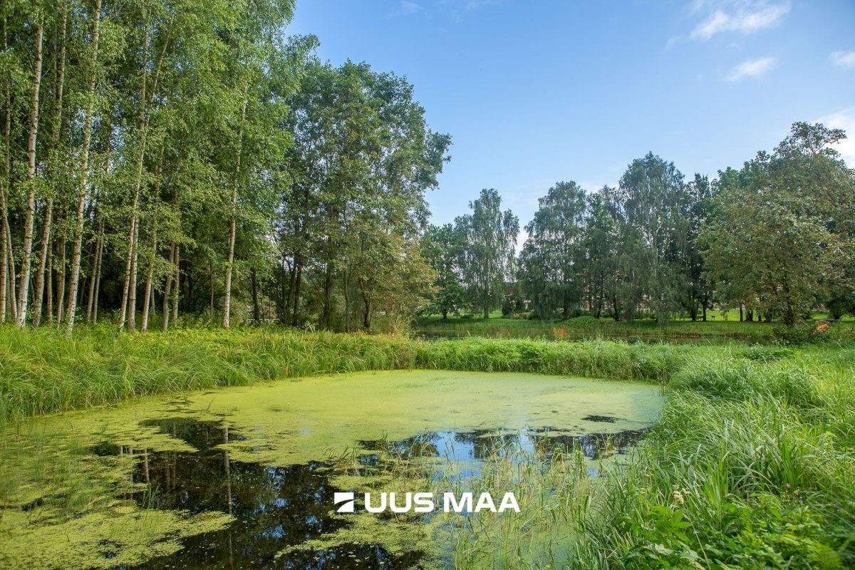 Kastre vald, Päkste küla, Männi 14