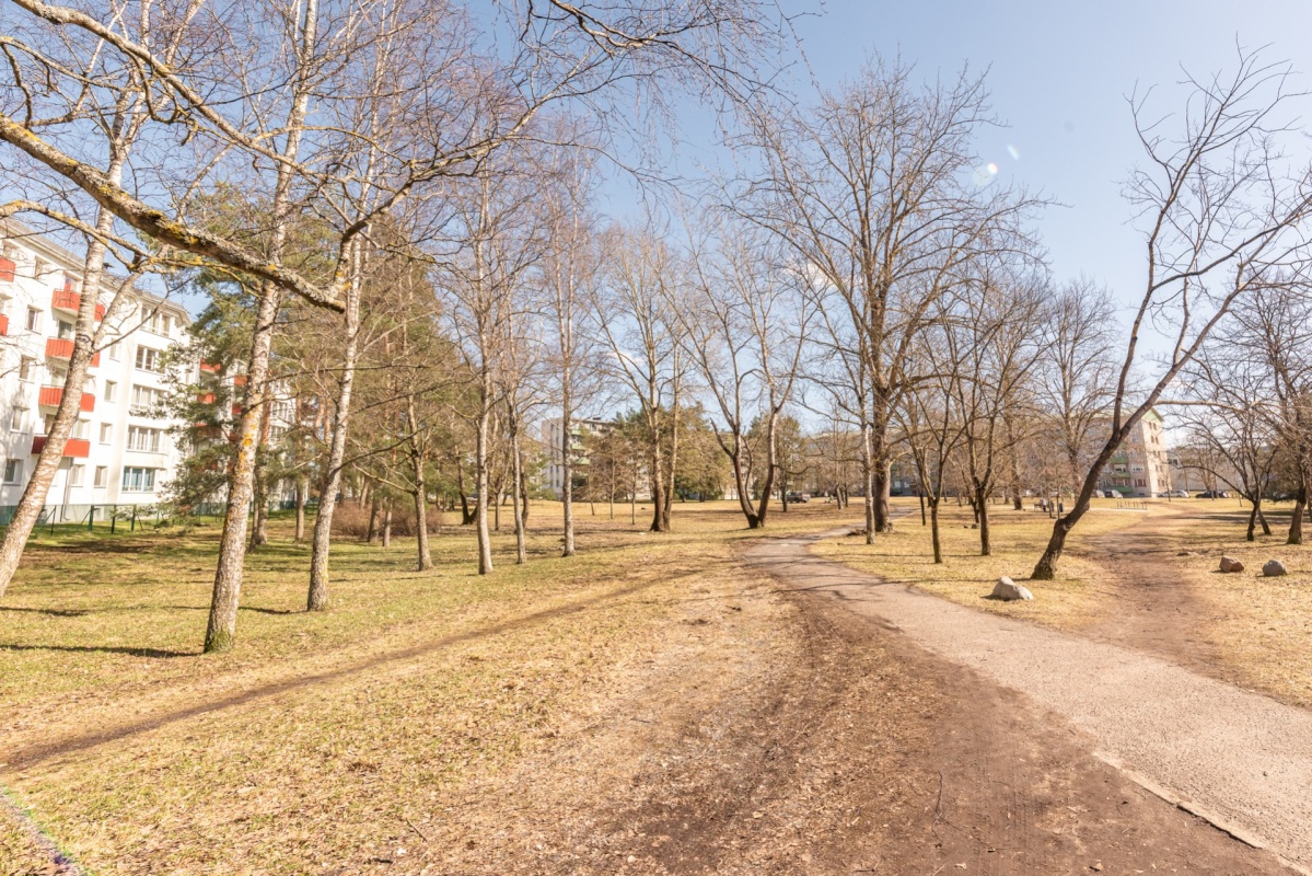 Tallinn, Mustamäe linnaosa, Sõpruse pst 245