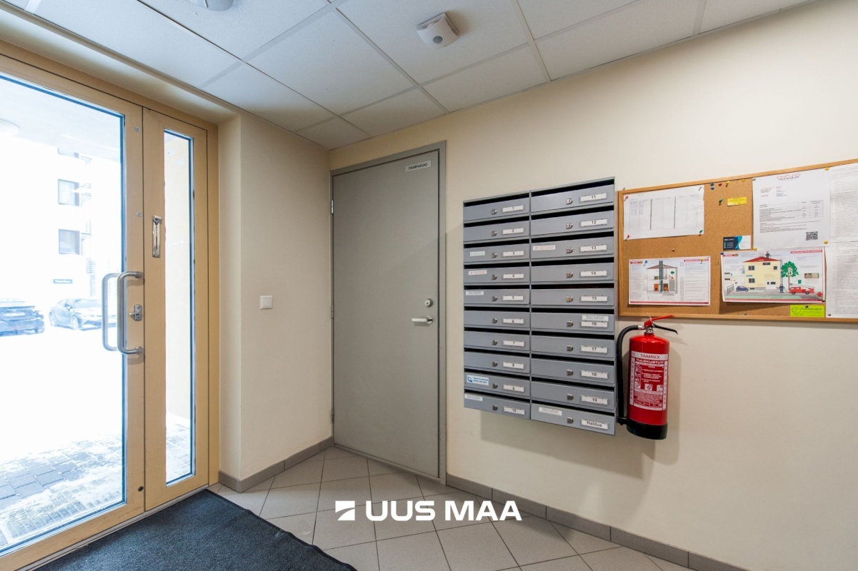 Tallinn, Haabersti linnaosa, Pikaliiva, Noorkuu 8