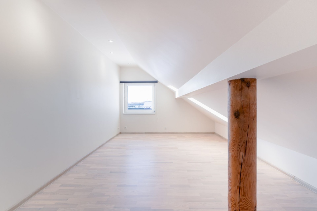 Rakvere vald, Paatna küla