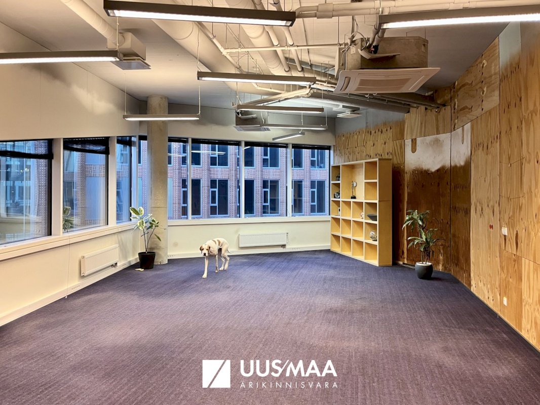 Tallinn, Kesklinna linnaosa, Laeva 2