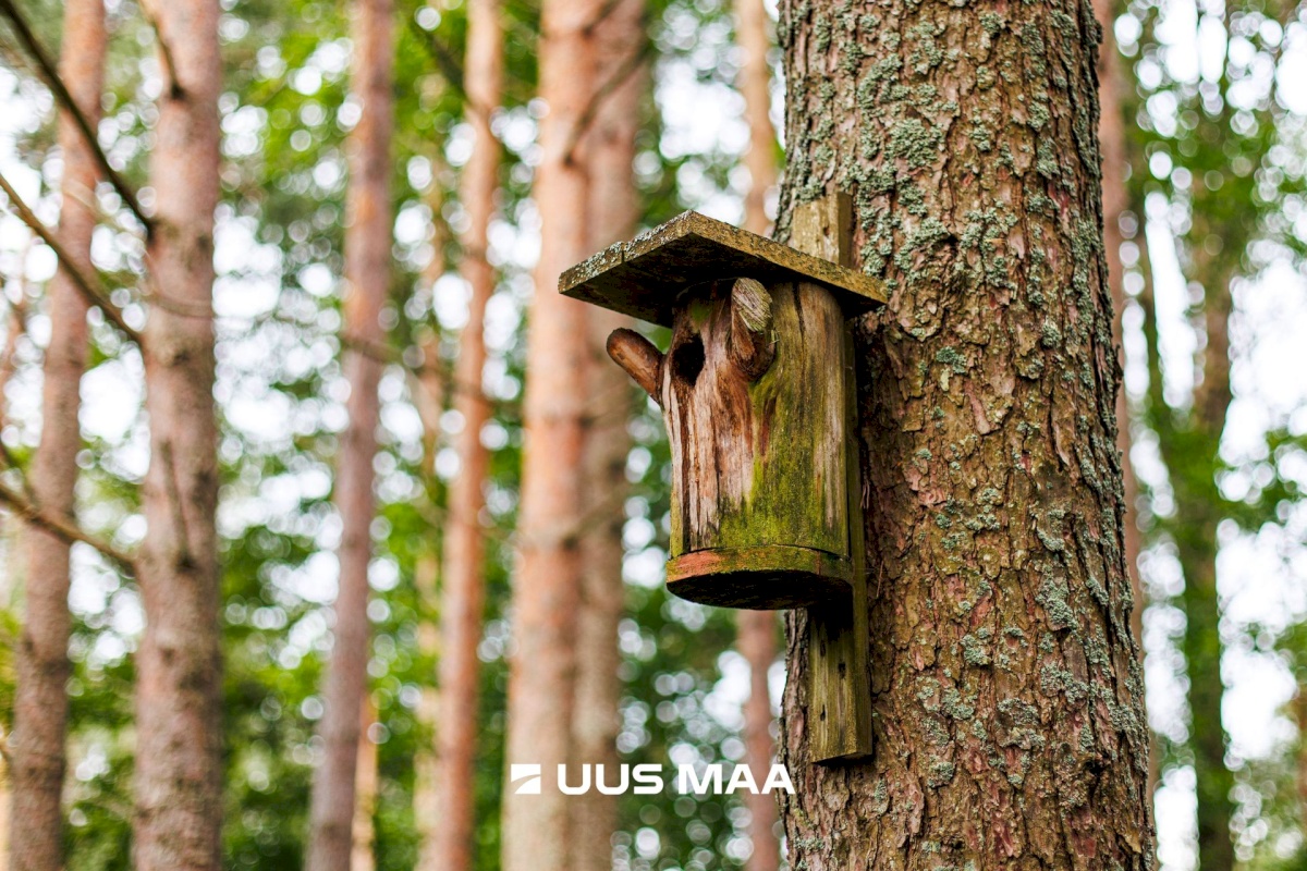 Lääne-Harju vald, Kloogaranna küla, Adruvahi 18