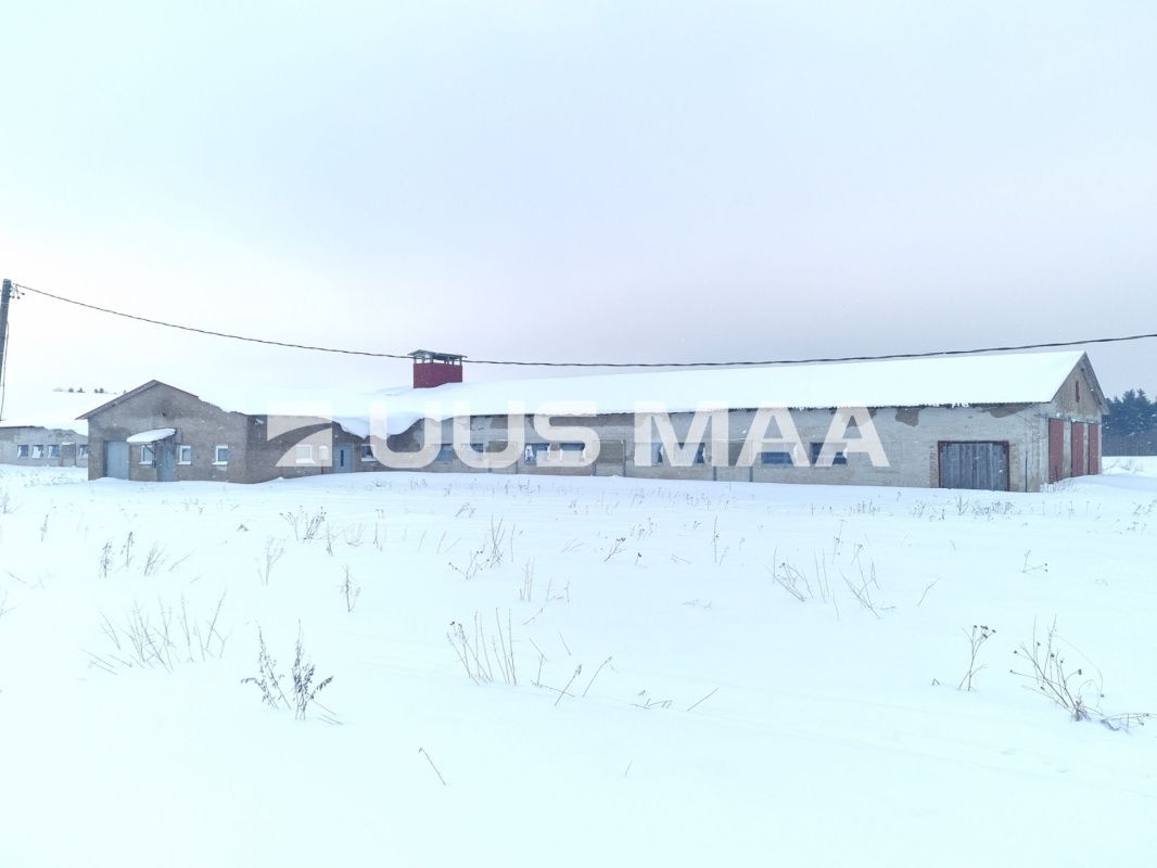 Vinni vald, Miila küla, Farmi kinnistu