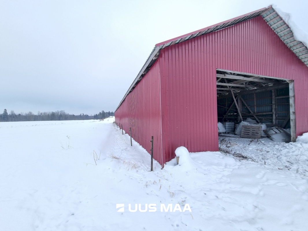 Vinni vald, Miila küla, Farmi kinnistu