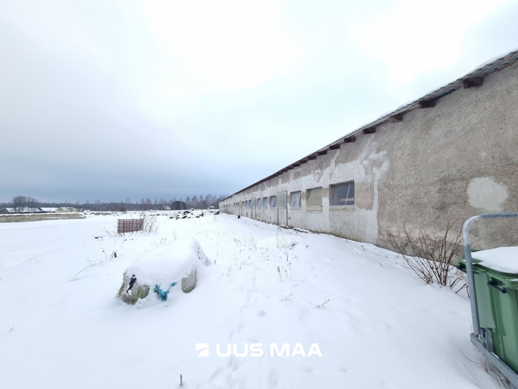 Vinni vald, Miila küla, Farmi kinnistu