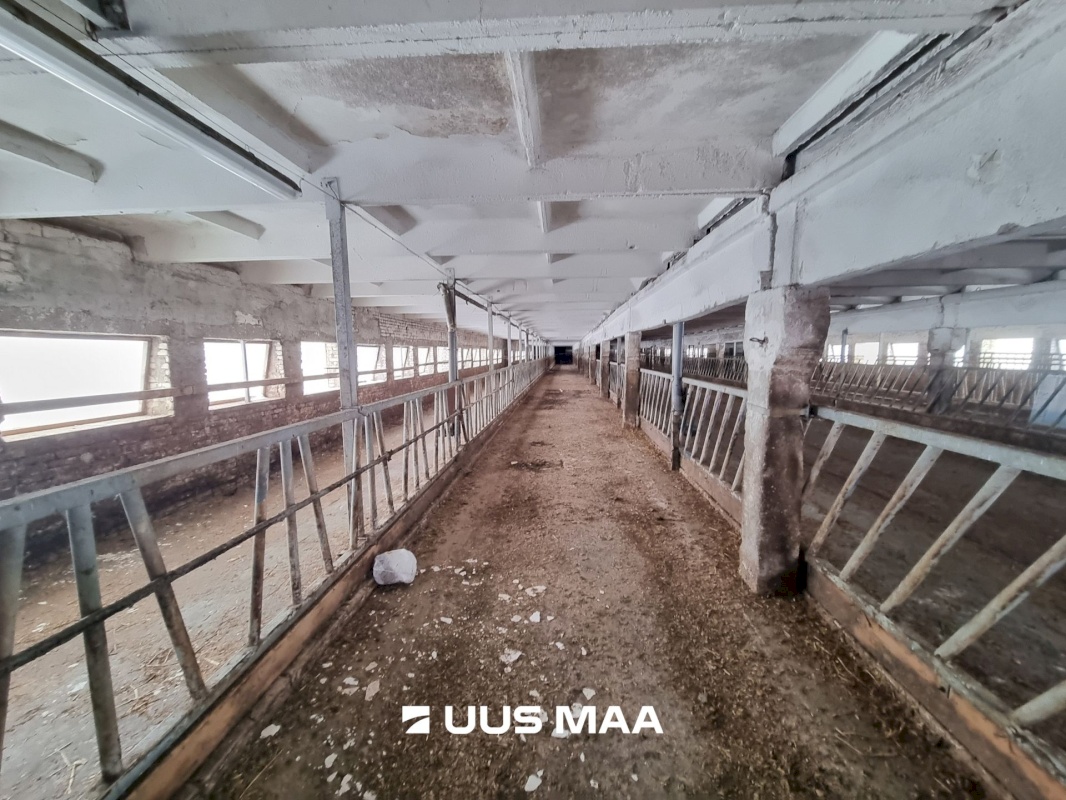 Vinni vald, Miila küla, Farmi kinnistu