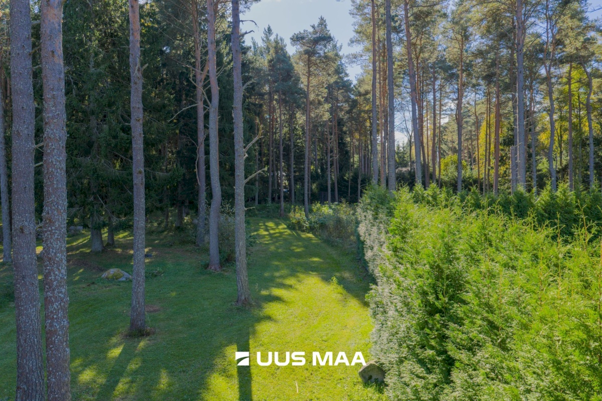 Viimsi vald, Tammneeme küla, Teigari tee 32