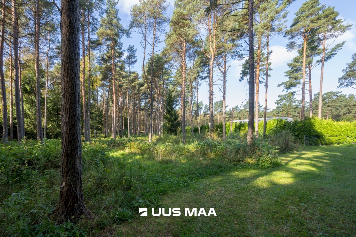 Viimsi vald, Tammneeme küla, Teigari tee 32