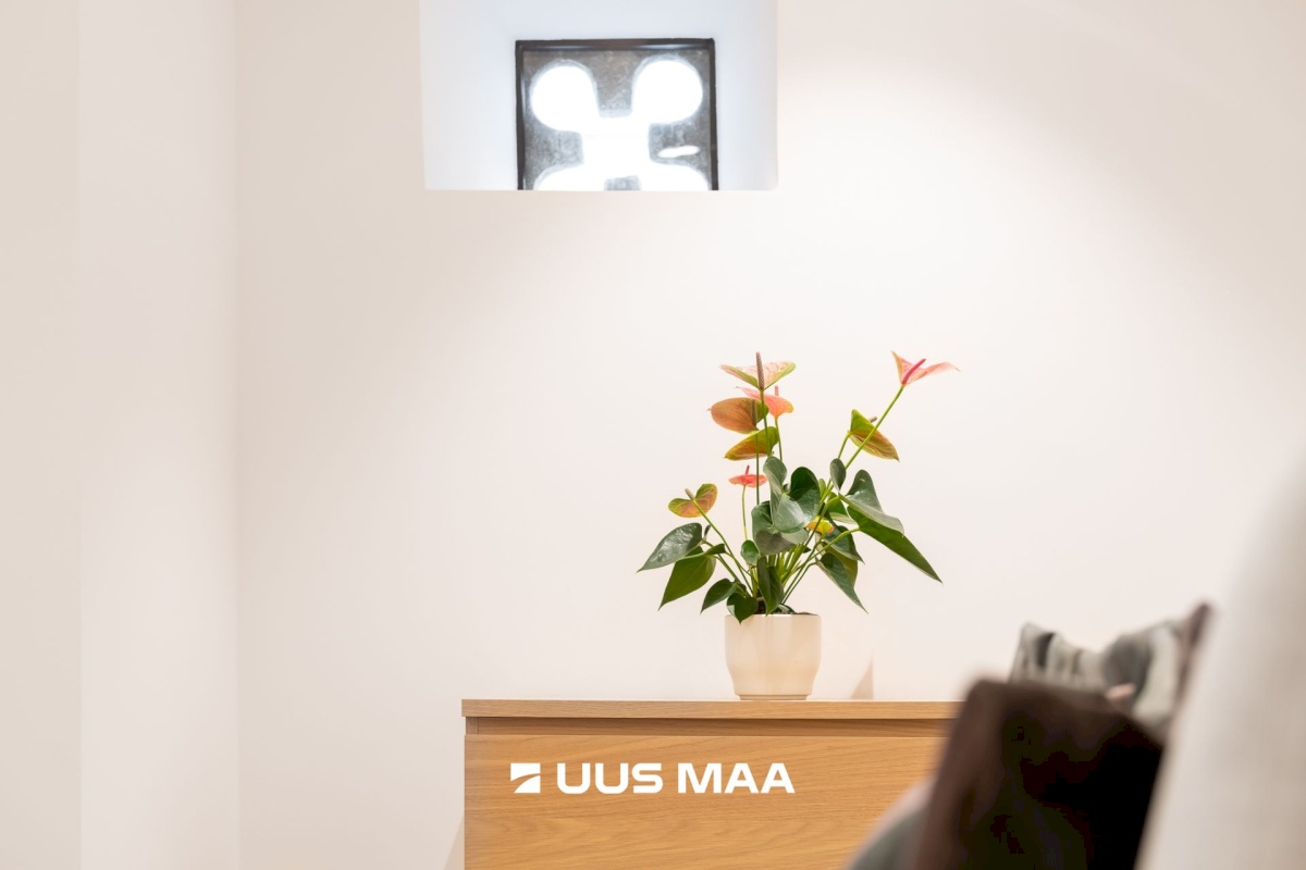 Tallinn, Kesklinna linnaosa, Vanalinna, Lai tn 13