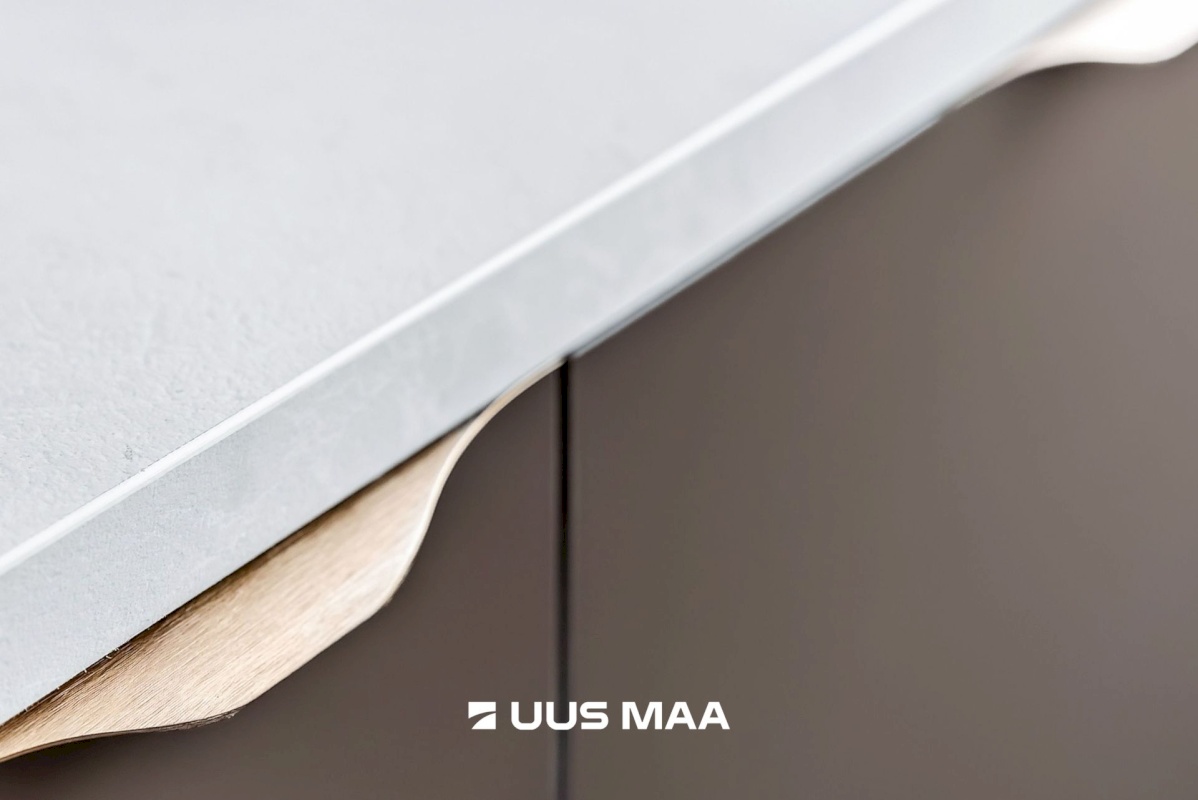 Tallinn, Mustamäe linnaosa, A.H.Tammsaare tee 113