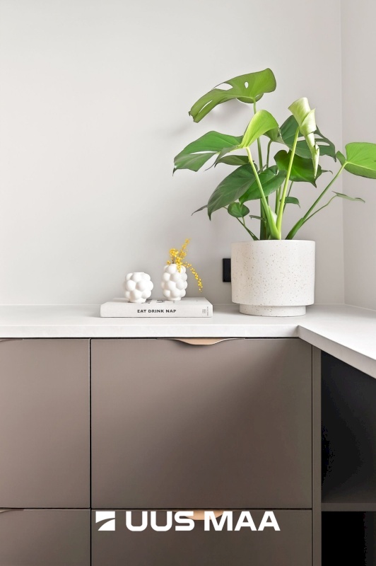 Tallinn, Mustamäe linnaosa, A.H.Tammsaare tee 113