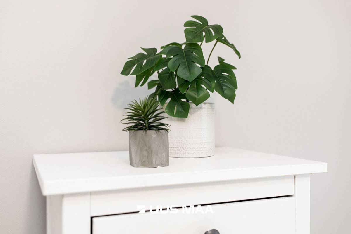 Tallinn, Lasnamäe linnaosa, Uuslinna tn 6