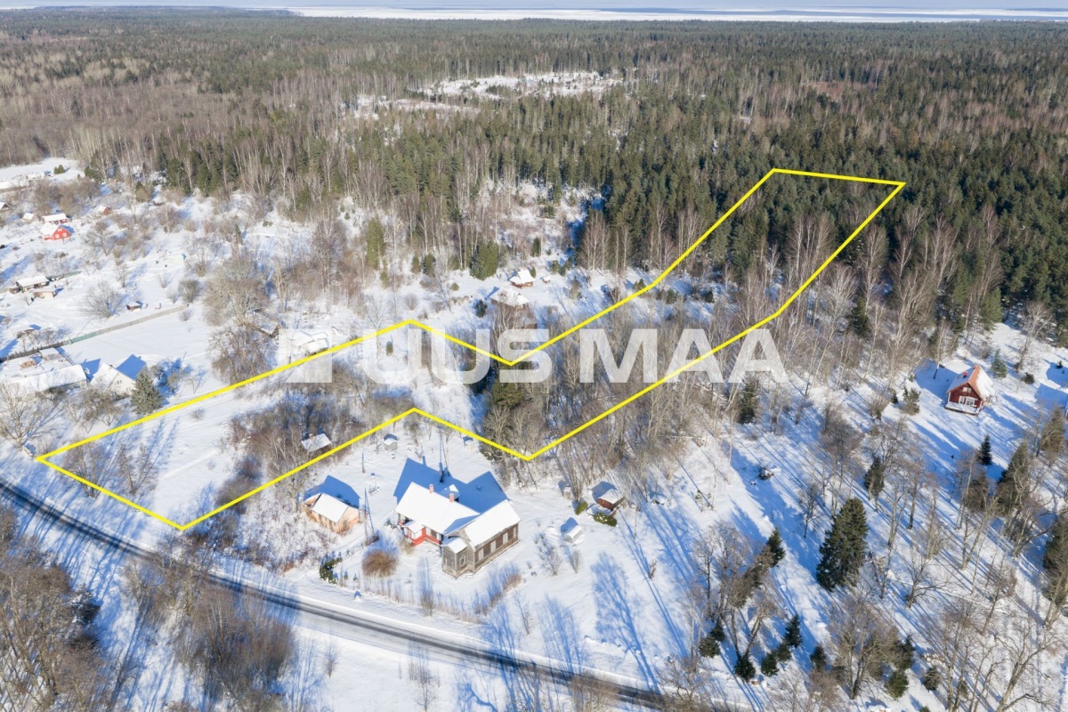 Kuusalu vald, Kiiu-Aabla küla, Papi