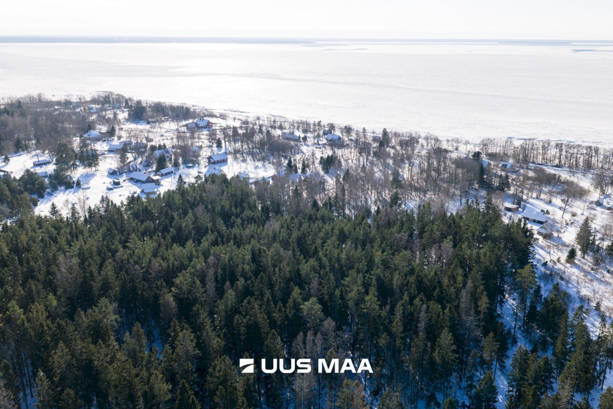 Kuusalu vald, Kiiu-Aabla küla, Papi