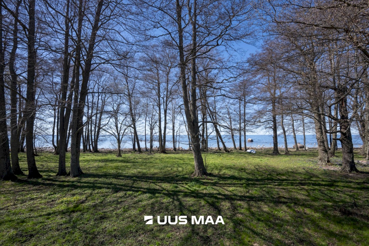 Kuusalu vald, Kiiu-Aabla küla, Papi