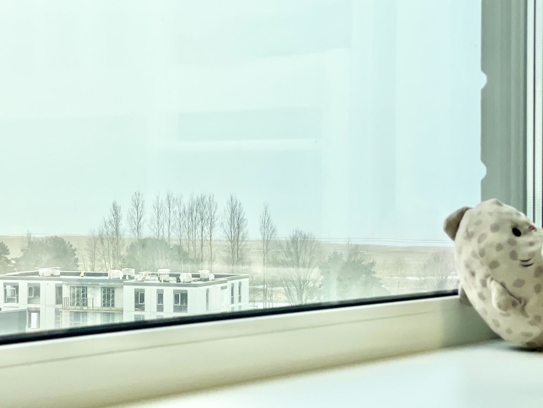 Pärnu linn, Pärnu linn, Mai, Mai 67