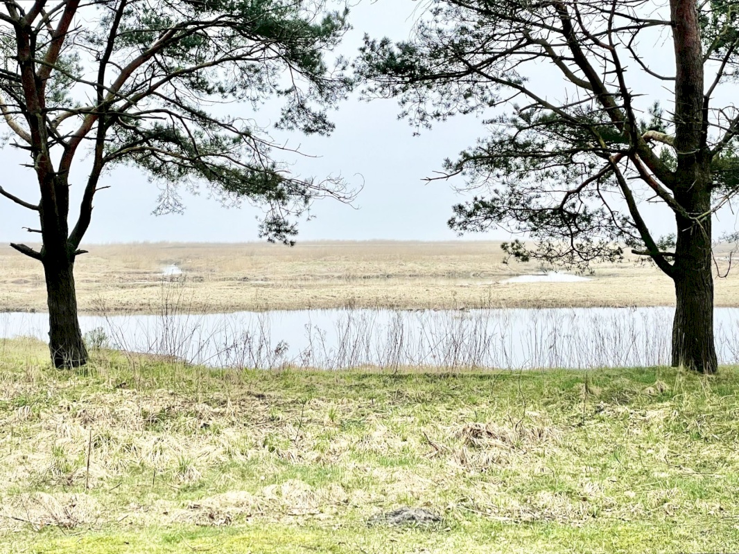 Pärnu linn, Pärnu linn, Mai, Mai 67