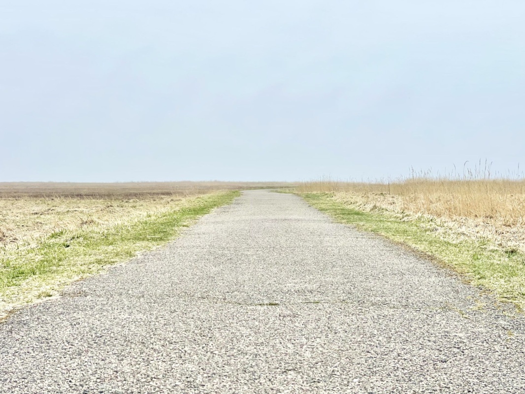 Pärnu linn, Pärnu linn, Mai, Mai 67