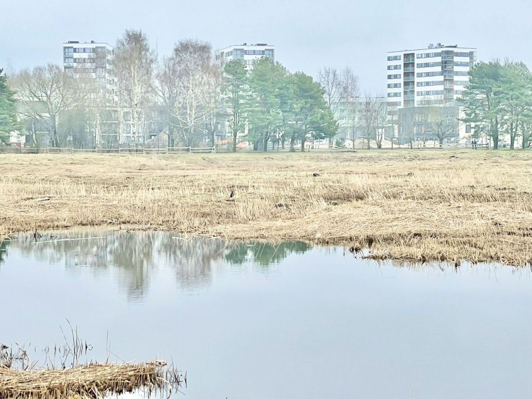 Pärnu linn, Pärnu linn, Mai, Mai 67