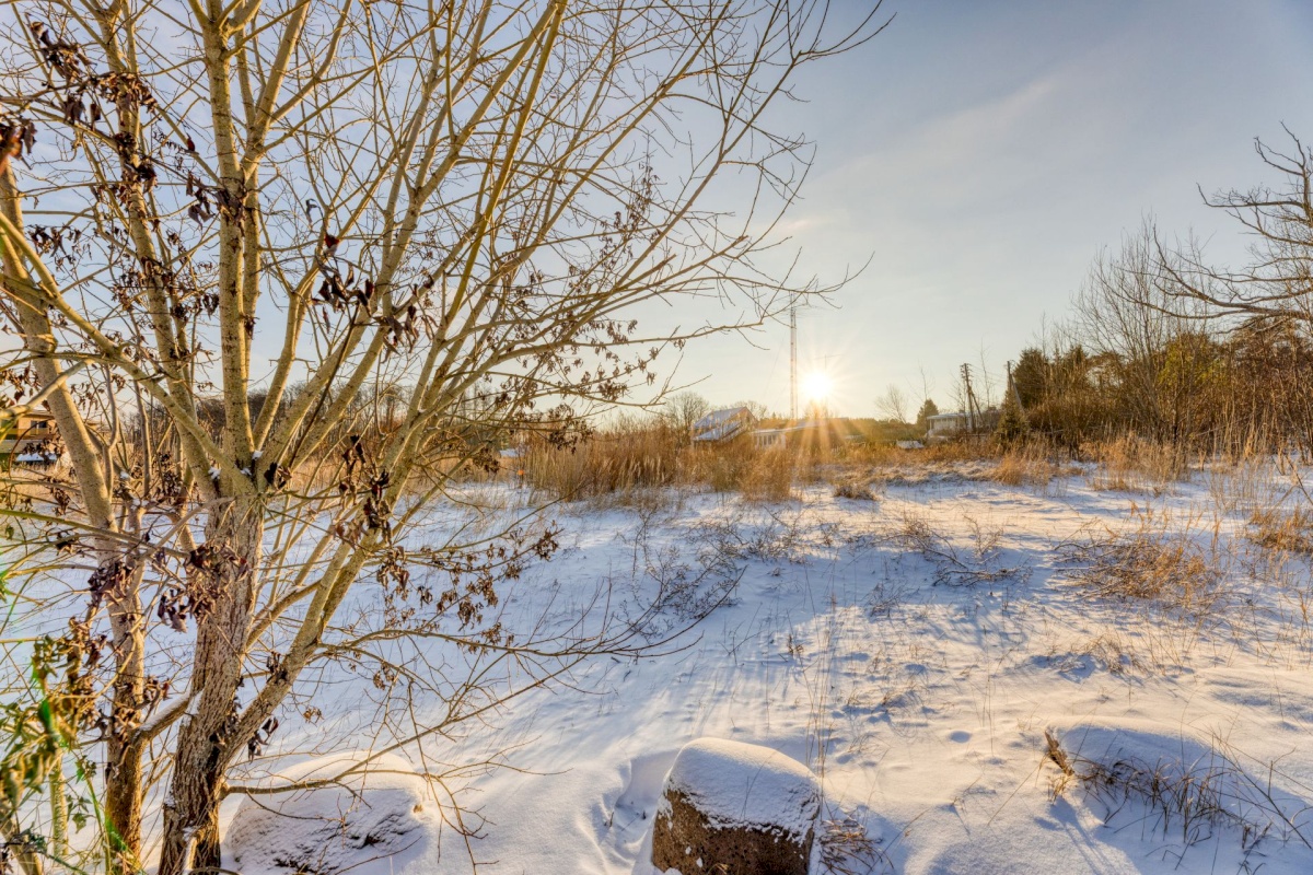 Viimsi vald, Tammneeme küla, Viire tee 8