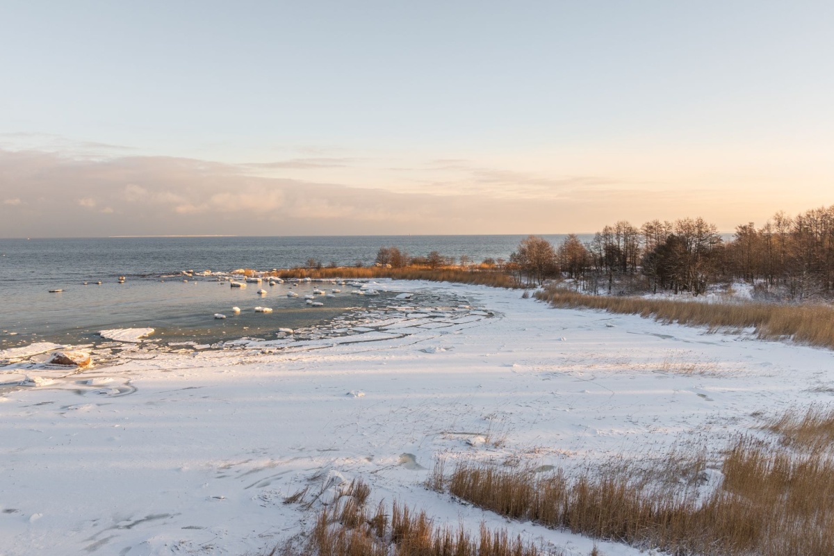 Viimsi vald, Tammneeme küla, Viire tee 8