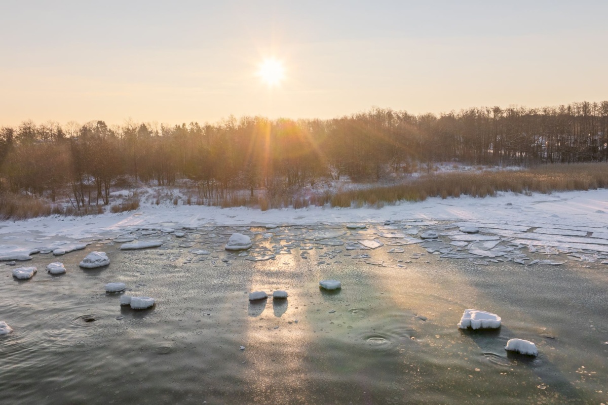 Viimsi vald, Tammneeme küla, Viire tee 8