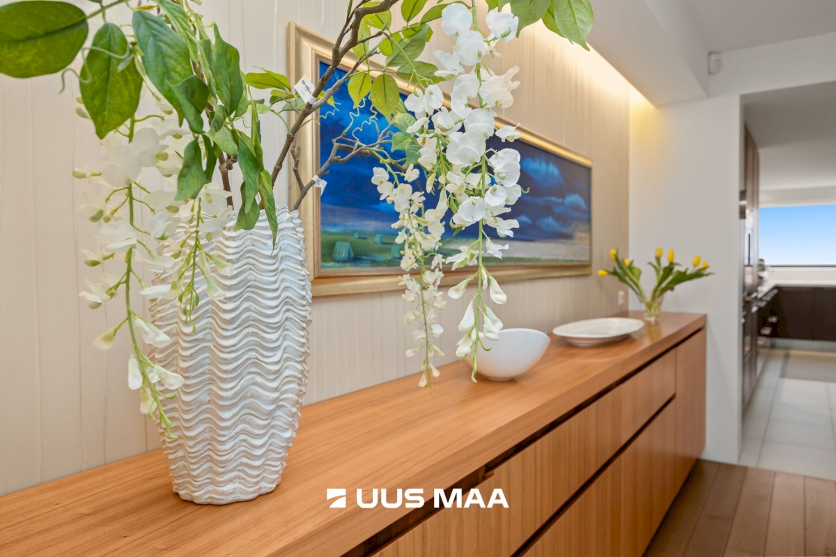 Viimsi vald, Tammneeme küla, Tammneeme tee 37