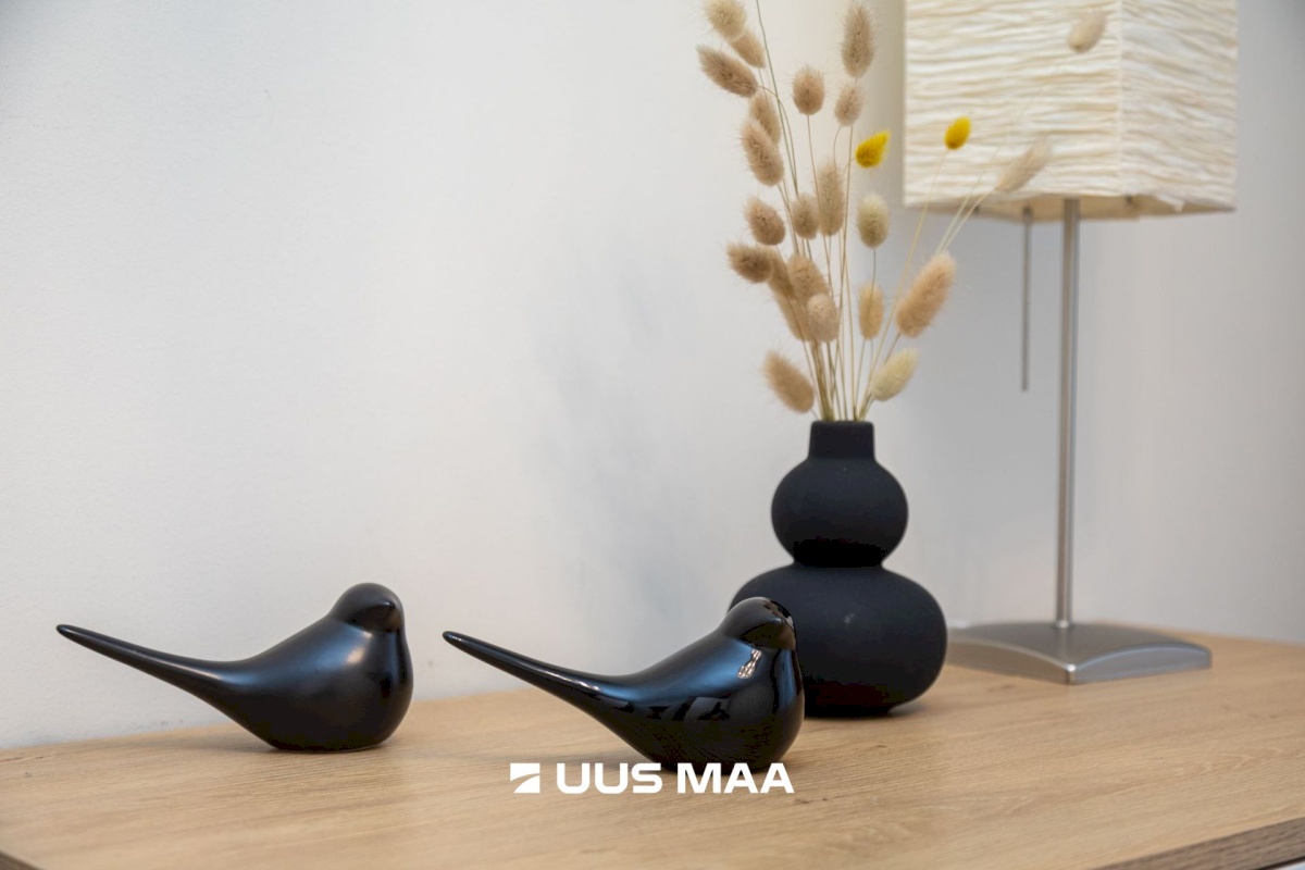 Tallinn, Haabersti linnaosa, Rocca al Mare, Päevalille 6