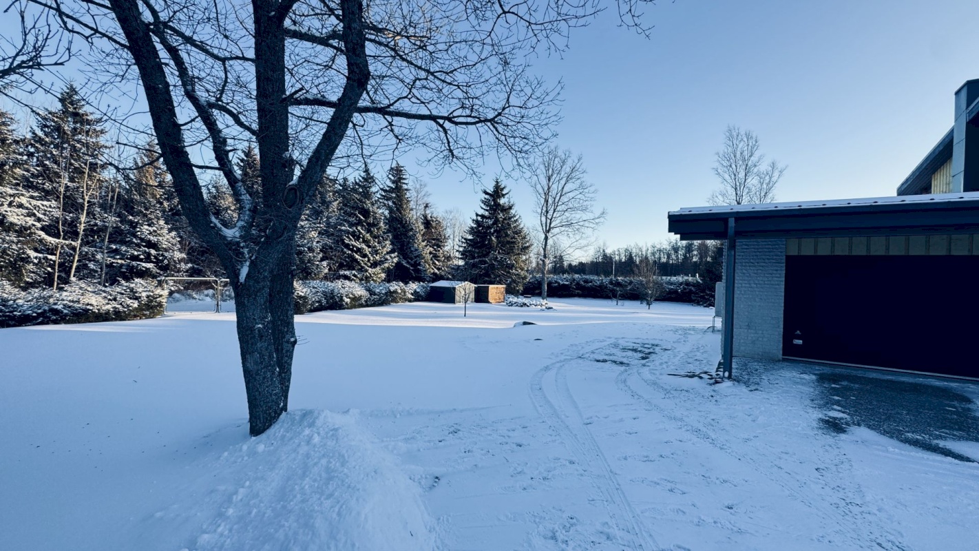 Viimsi vald, Tammneeme küla, Tammneeme tee 17