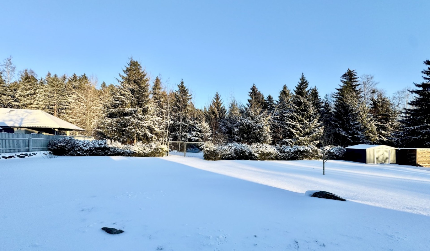 Viimsi vald, Tammneeme küla, Tammneeme tee 17