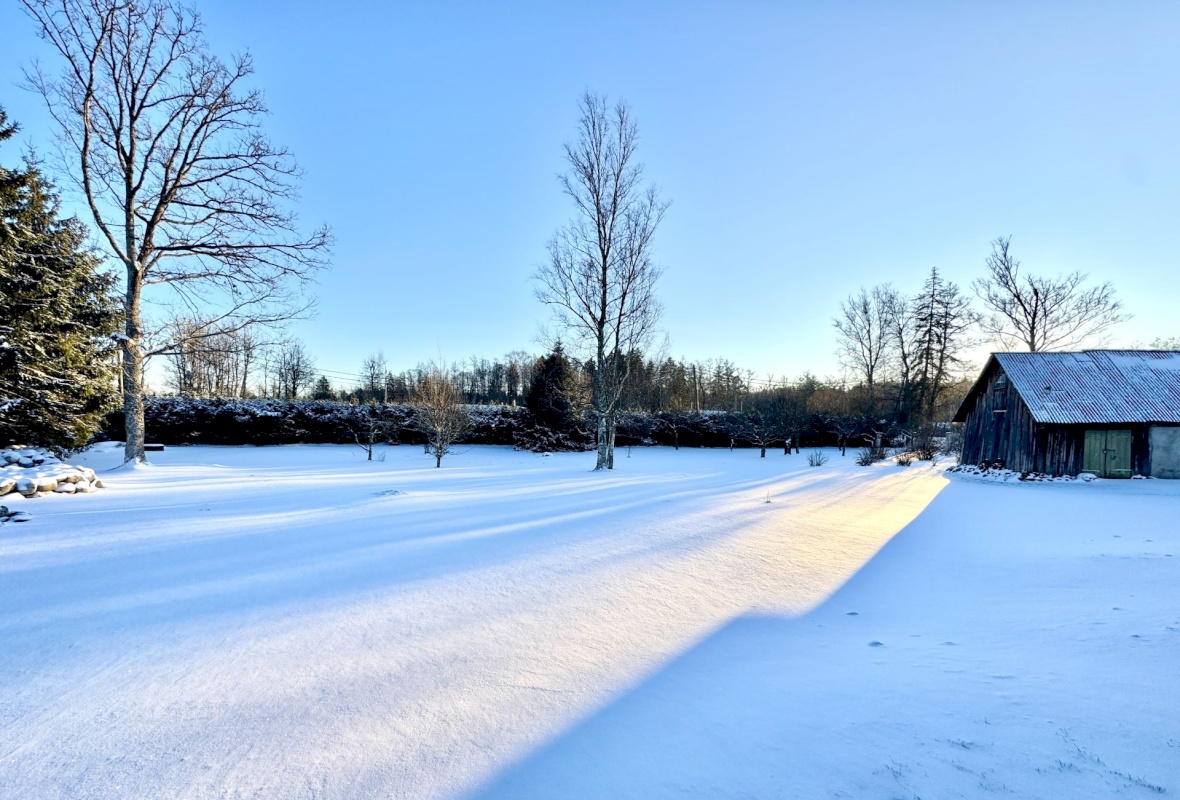 Viimsi vald, Tammneeme küla, Tammneeme tee 17