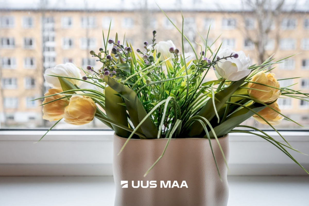 Tallinn, Põhja-Tallinna linnaosa, Sõle 9