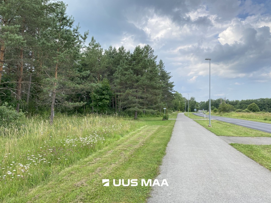 Saue vald, Koppelmaa küla, Poki tee