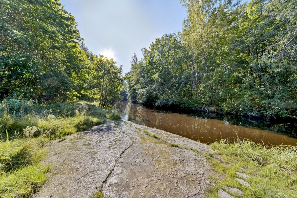 Harku vald, Türisalu küla, Pärnasalu tee 34