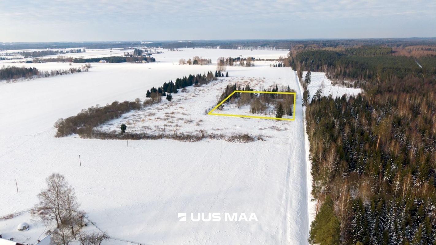 Peipsiääre vald, Vara küla