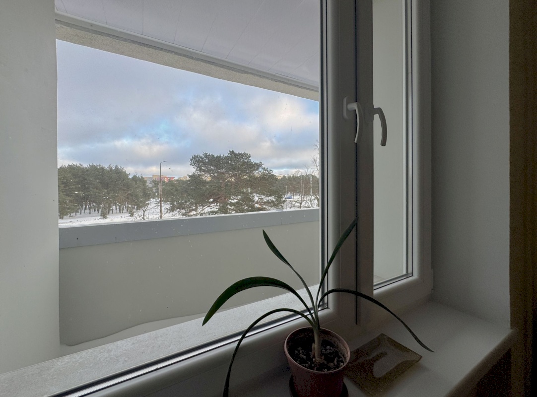 Tallinn, Mustamäe linnaosa, Mustamäe, Akadeemia 2