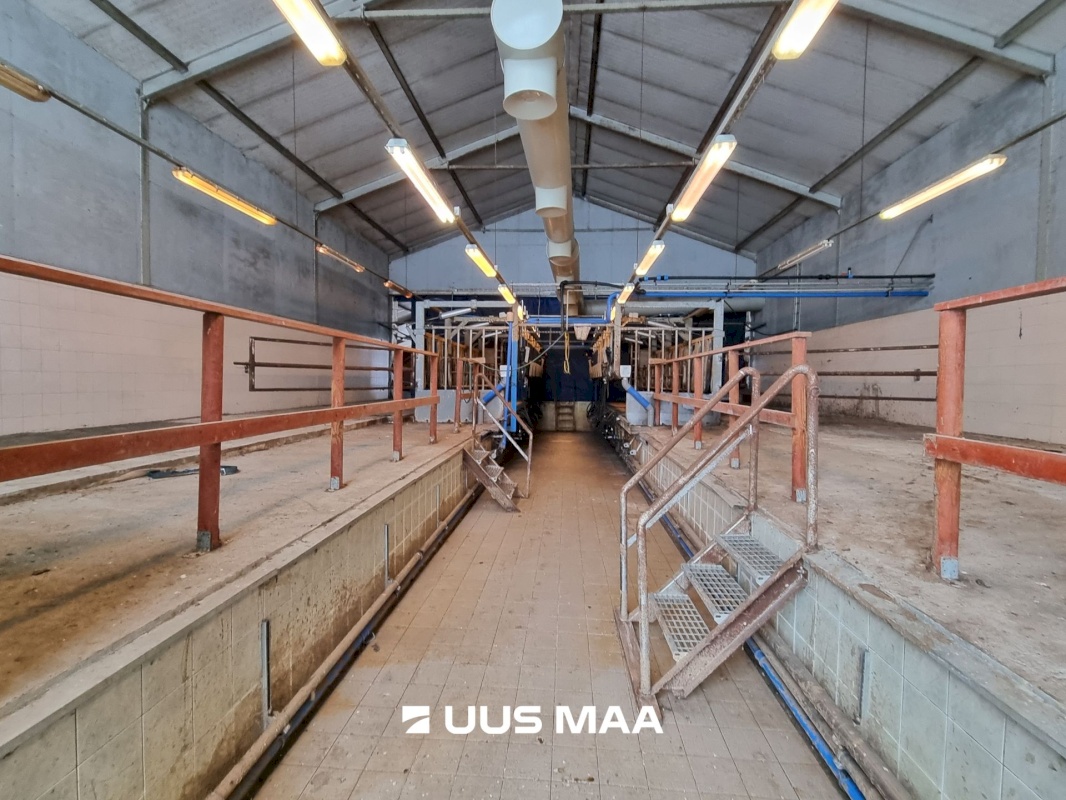 Vinni vald, Põlula küla, Põlula farm