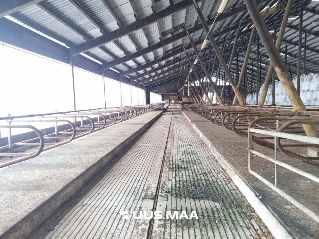 Vinni vald, Põlula küla, Põlula farm