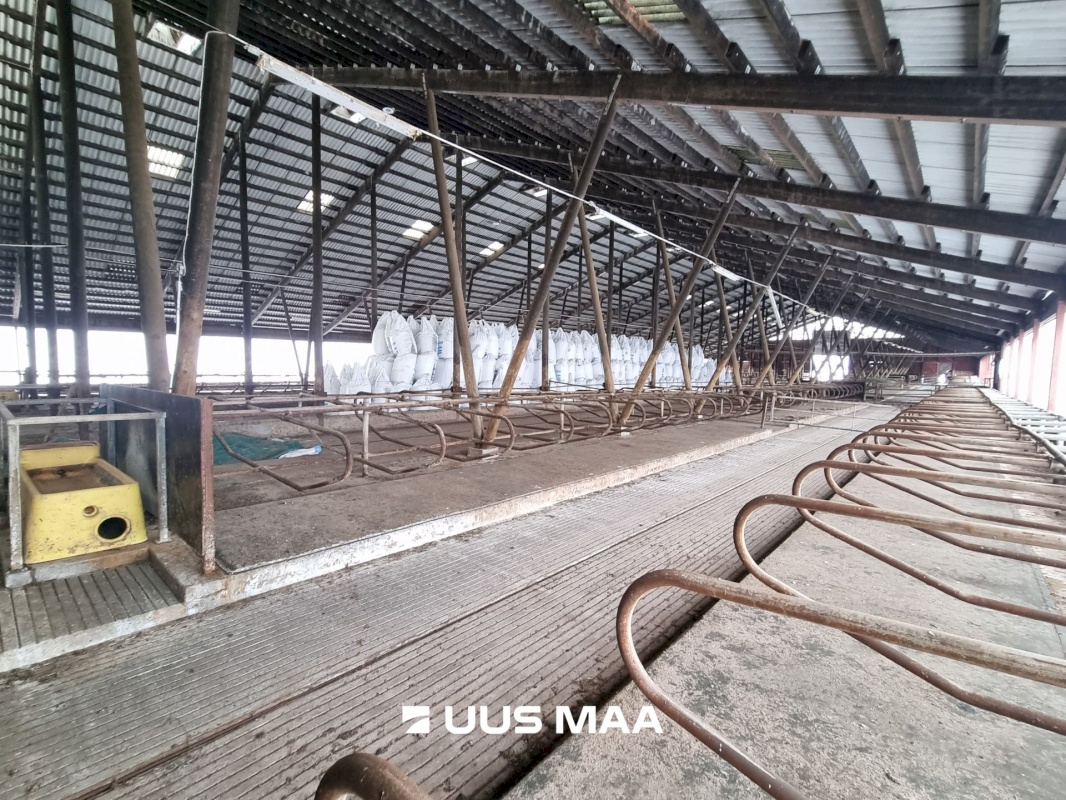 Vinni vald, Põlula küla, Põlula farm