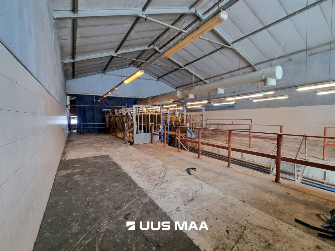 Vinni vald, Põlula küla, Põlula farm