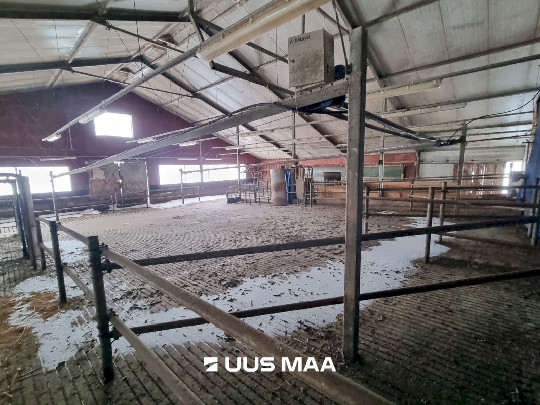 Vinni vald, Põlula küla, Põlula farm