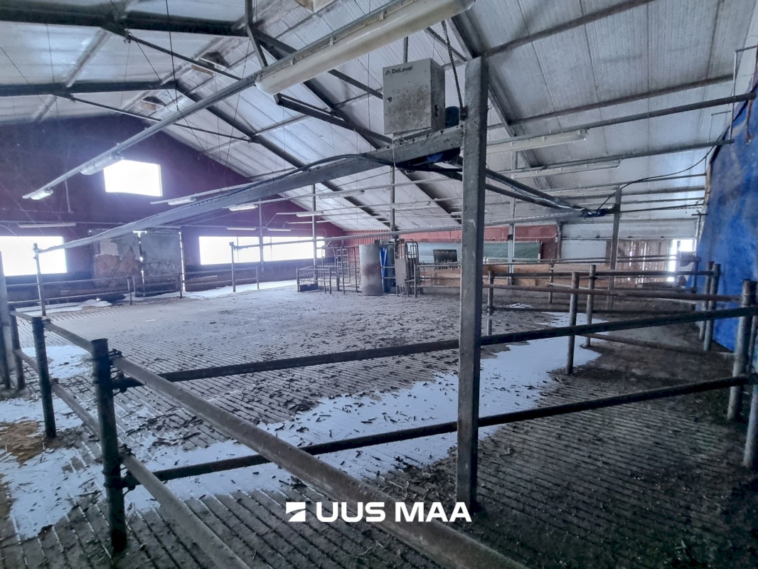 Vinni vald, Põlula küla, Põlula farm