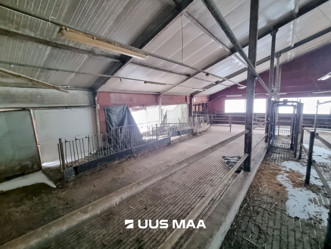 Vinni vald, Põlula küla, Põlula farm