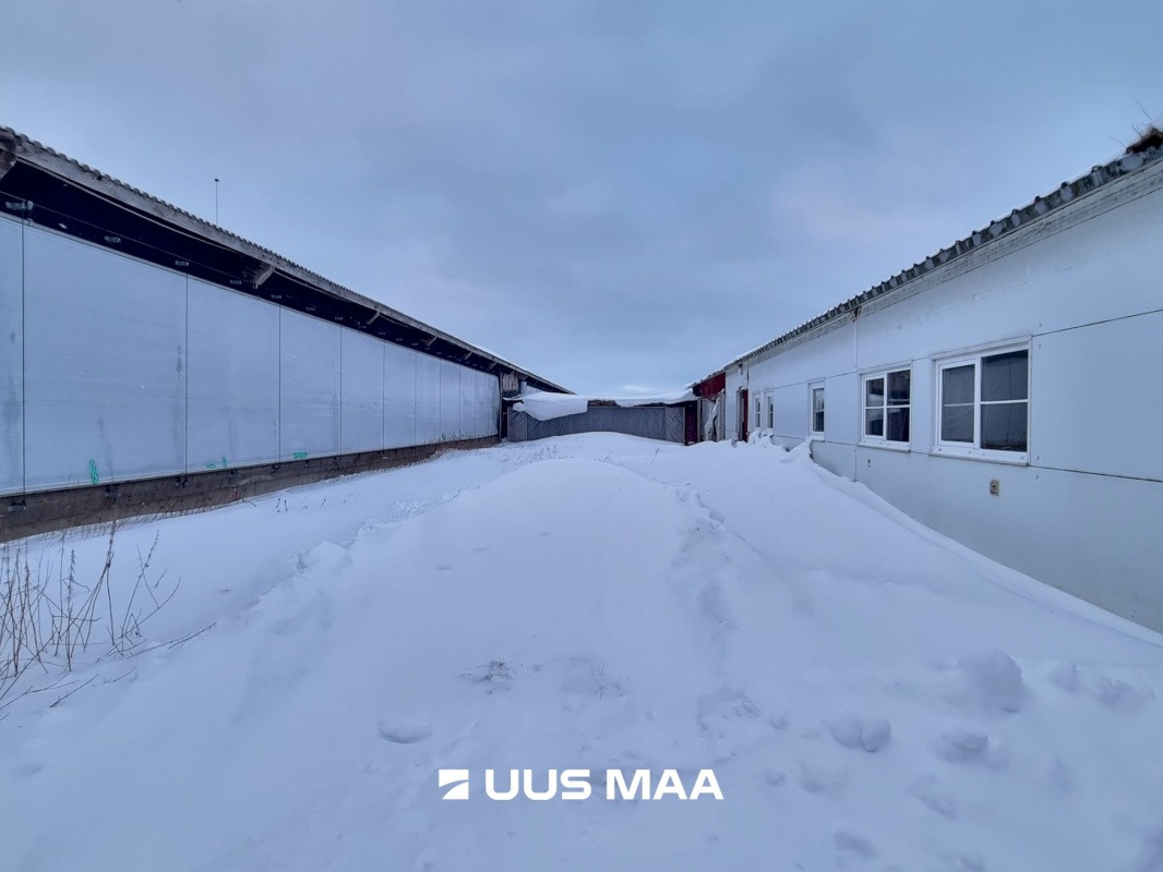 Vinni vald, Põlula küla, Põlula farm