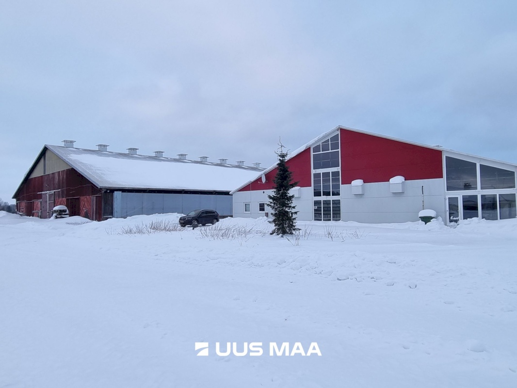 Vinni vald, Põlula küla, Põlula farm