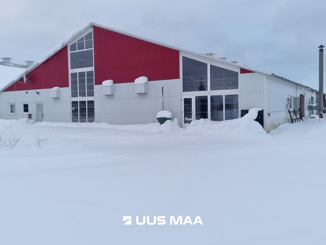 Vinni vald, Põlula küla, Põlula farm